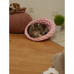 Katzenkorb lachs/rosa
