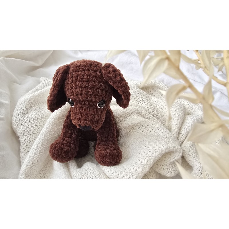 Kleiner Labrador