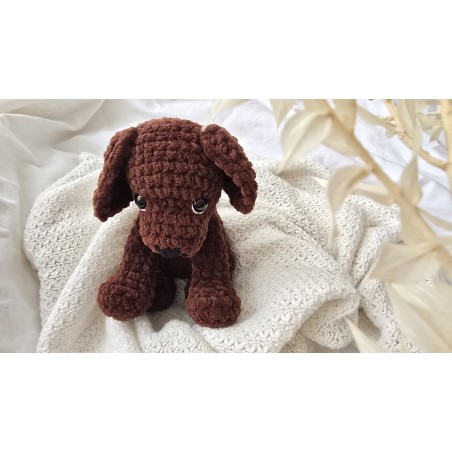 Kleiner Labrador